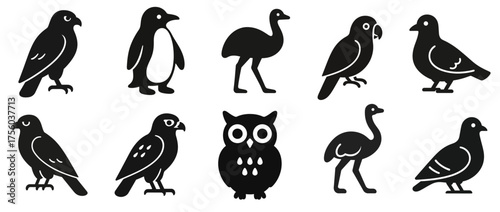 Silhouette solid icons of various birds. Set of black icon isolated PNG