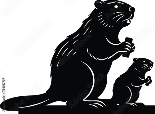 Facts on Kits, Dams, and Their Essential Role in Wetland EcosystemsFacts on Kits, Dams, and Their Essential Role in Wetland Ecosystems