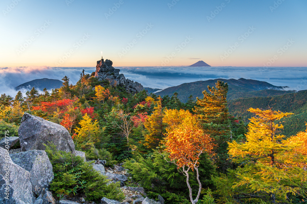 Obraz premium 秋の奥秩父山塊天狗峰から紅葉の天狗岩の朝日に輝く天空の剣と朝焼けの富士山