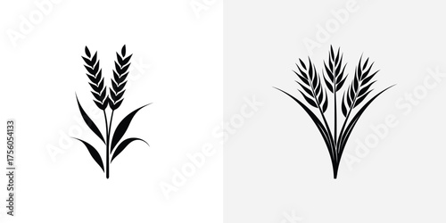 Ears of Wheat Silhouette on Transparent Background, Grain Stalk Icon, Rye Plant Icon