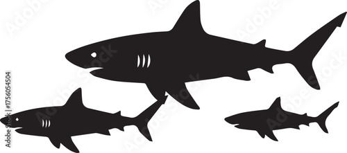 Black and white vector illustration of a great white shark profile