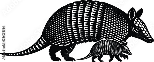 Nine-Banded Armadillo