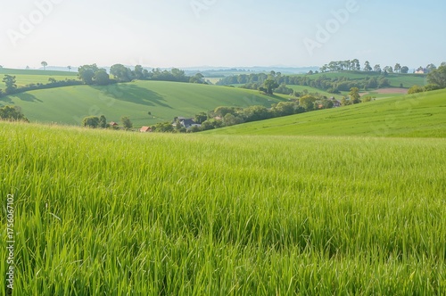 Expansive green meadow on rolling hills. Pasture, alkali, and lush grassland scenery. Artistic sketch of a rural grassy landscape.
