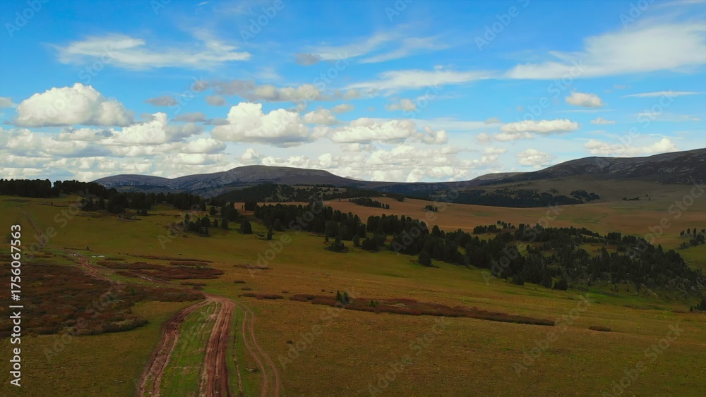 Fototapeta premium Aerial view flying over green rolling hills. Media