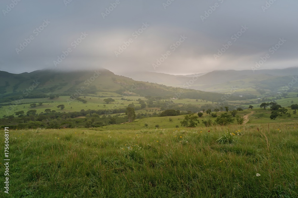 Fototapeta premium Stunning view of lush meadows on a misty mountain