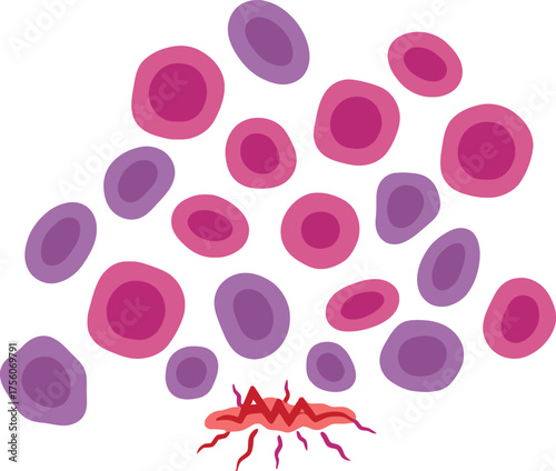 shows cells being attacked by virus.
