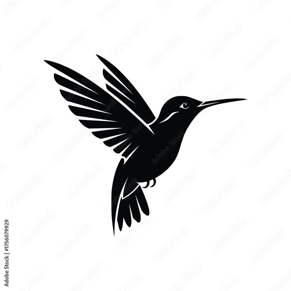 Fototapeta premium Hummingbird Hovering Flight Vector Illustration