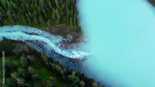 Tableau sur toile Turquoise river flowing into a lake in the middle of green forest
