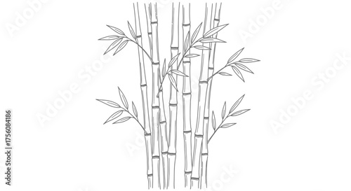 Elegant Bamboo Stalks with Delicate Leaves in a Minimalist Line Art Style for Therapeutic Coloring Books and Zen-Inspired Design Projects