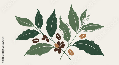 Exotic Coffee Plant Branches with Ripe Beans and Green Leaves Illustration Organic Plantation Concept