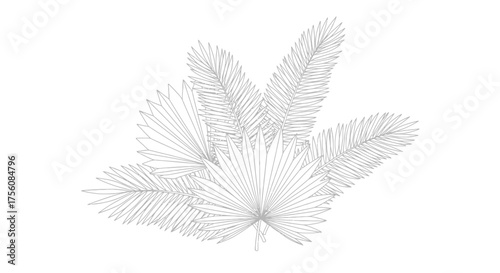 Delicate Botanical Illustration of Fan and Feather Palm Leaves for Creative Design Projects and Natural Element Overlays in Digital Art.