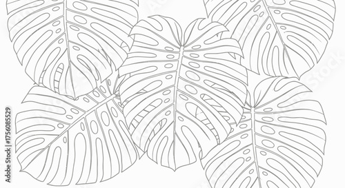 Exotic Monstera Leaves Outline Drawing Tropical Botanical Pattern Vector Art