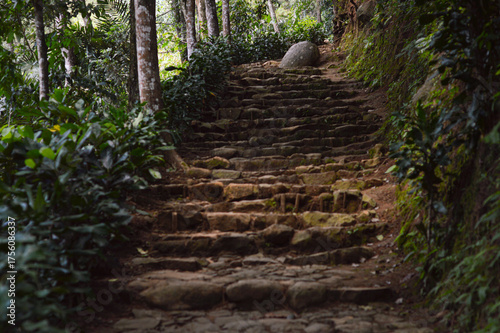 photo of old stone steps at the foot of the mountain