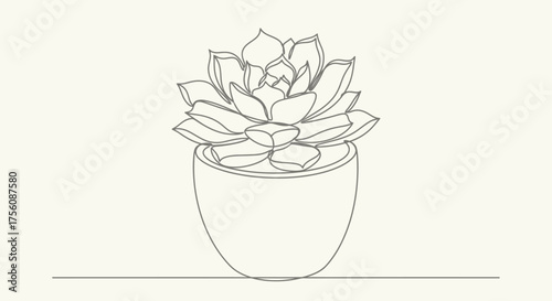 Minimalist Line Art Illustration of Succulent Plant in Pot for Home Decor and Botanical Design Projects. Perfect for enhancing websites, posters, prints, and branding materials.