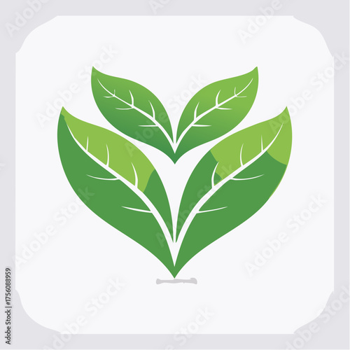 Illustration of stylized green leaves arranged in a symmetrical formation on a white background