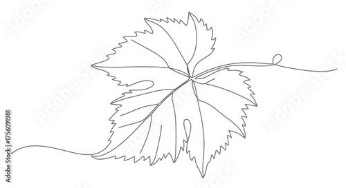 Elegant Grape Leaf Line Art Illustration for Botanical Studies, Wine Labels, and Vineyard Branding Projects on White Background.