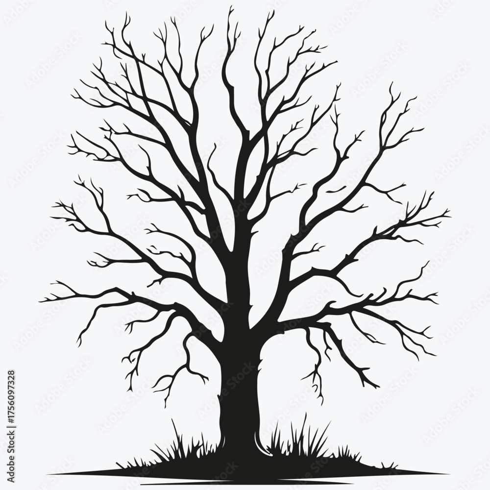 Fototapeta premium old dry tree sketch illustration vector