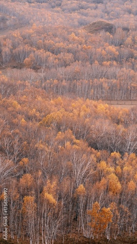 The amazing scenery of autumn on the vast grasslands of Inner Mongolia, China