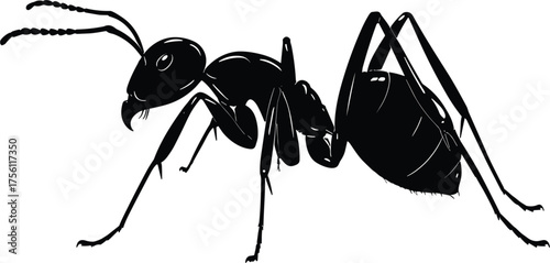Black silhouette vector of an ant crawling, detailed legs and antennae