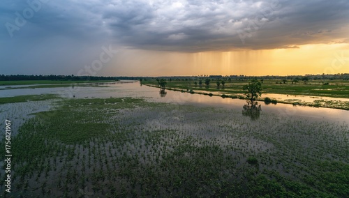 Field submerged due to heavy rainfall and river flooding