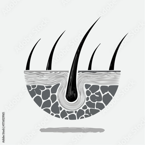 Healthy hair follicle illustration shiny strands scalp care hair growth concept medical icon
