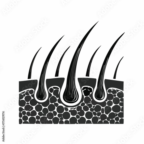 Healthy hair follicle illustration shiny strands scalp care hair growth concept medical icon