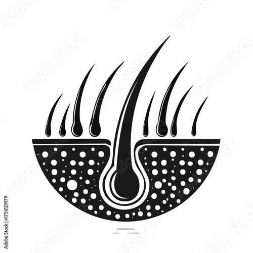 Healthy hair follicle illustration shiny strands scalp care hair growth concept medical icon