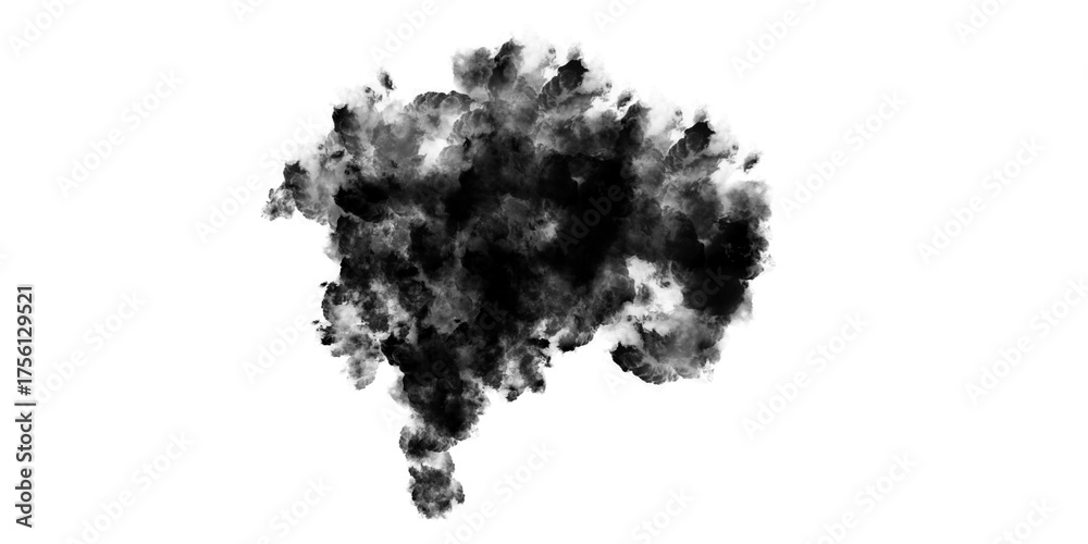 Fototapeta premium Black Smoke Cloud, Abstract Powder Explosion for Overlay 