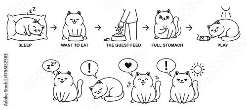 Cat Daily Activity Icons, Vector Line Art.eps