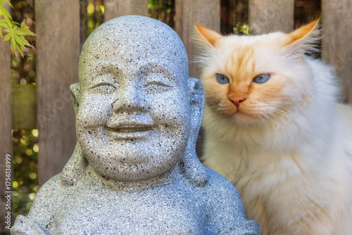 Grumpy looking cat next to the face of a laughing buddha