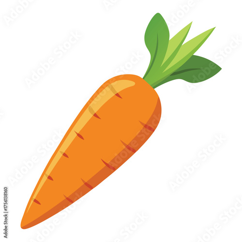 Bright orange carrot with green leafy top isolated on white background