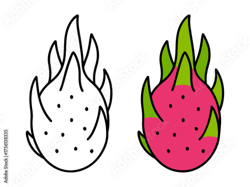 Whole dragon fruit with leafy scales, shown in outline and colored versions, ideal for tropical fruit, food education, or printable coloring pages.