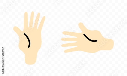 Hand, palm, fingers, spread and open, graphic design. Arm and wrist, gesture, vector design and illustration