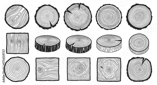 Assorted Wood Slices and Sections Collection, Detailed Tree Ring Patterns, Artistic Woodcut Set for Ecological Designs, Lumber Industry, Nature Illustrations, Forestry, Sawmill, Texture, Crafting Proj