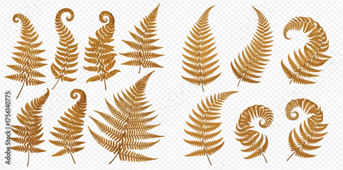Obraz na plátně Golden fern fronds in various shapes and sizes on a transparent background