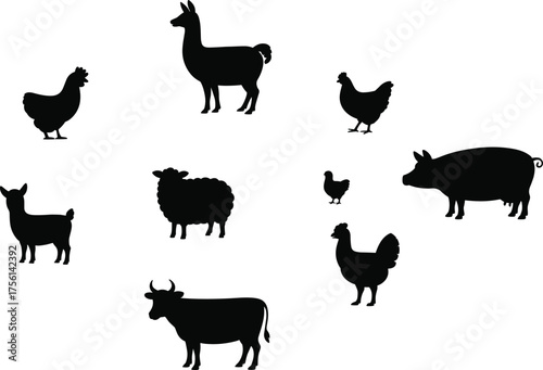 Farm animal silhouettes illustration, cow pig sheep chicken rooster chick llama alpaca, black and white agriculture concept, educational livestock design