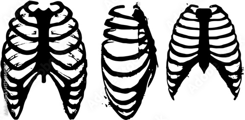 Striking ribcage anatomy art for edgy medical designs or bold health campaigns, rendered with vector precision