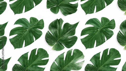 Wallpaper featuring green l...