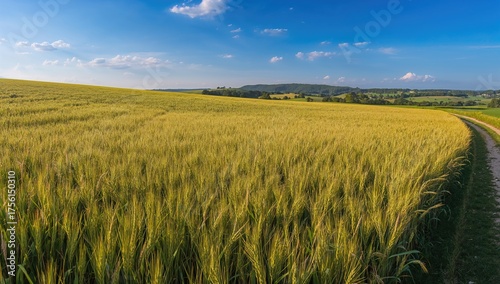 Stunning landscape featurin...
