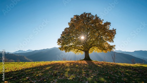 Gorgeous fall landscape fea...