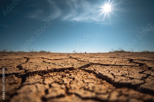 Close-up view of parched gr...
