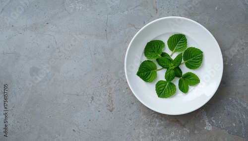 Plate of fresh mint leaves ...