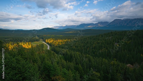 Scenic mountain forest with...