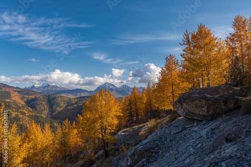 Hillside adorned with amber...