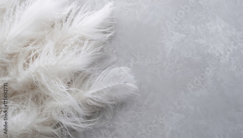 Detailed close-up of white ...
