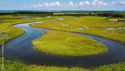 Aerial perspective of marsh...