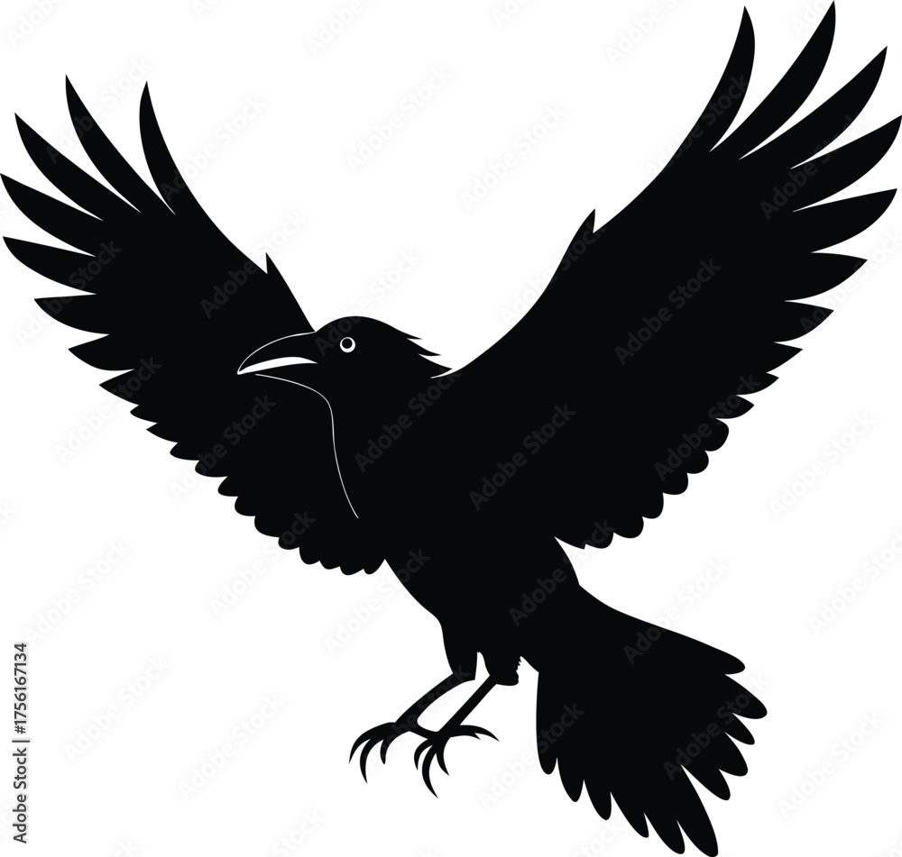 Obraz premium Majestic Raven Silhouette in Flight Spreading Wings Wide Against White Background Symbolic of Freedom and Mysticism Raven Symbolism
