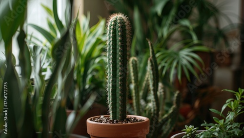 Indoor greenery featuring c...