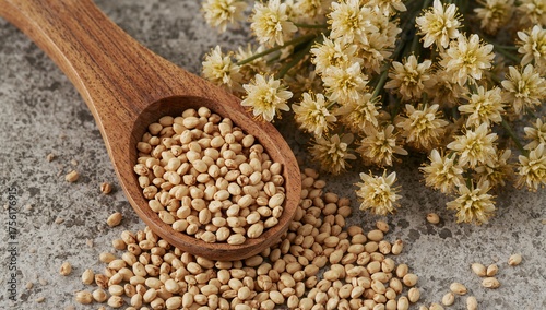 Dried Tartary buckwheat gro...