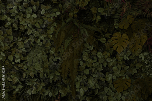 Abstract green leaf texture, nature background, tropical rainy season leaves.